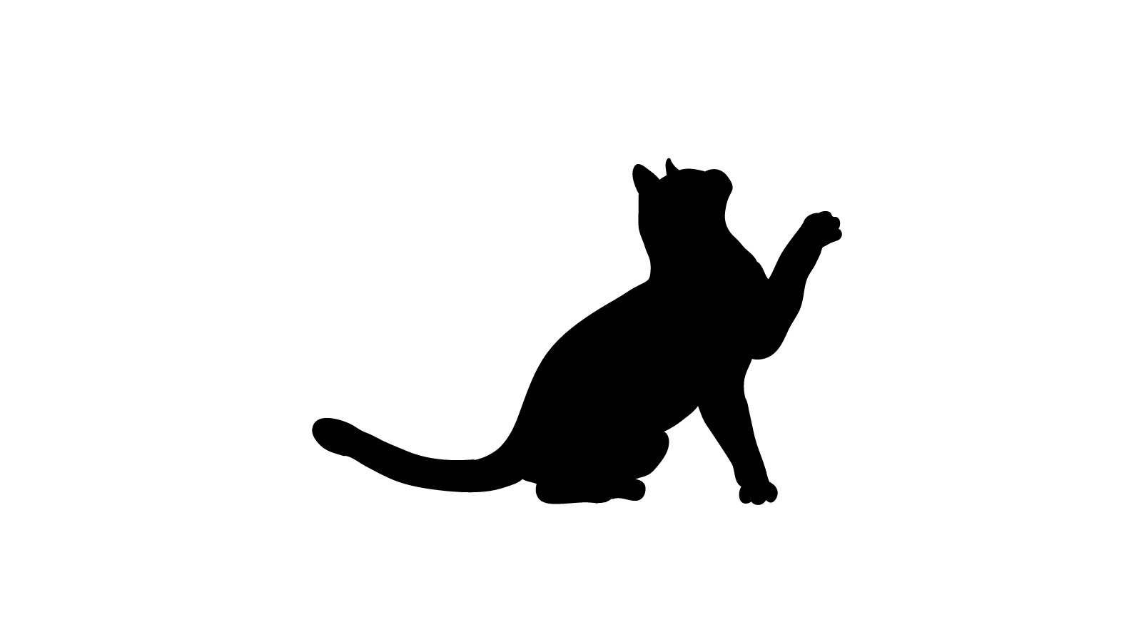 Bombay Breed, creative effectiveness and strategic communications